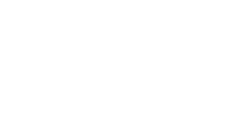 Wedy Pro